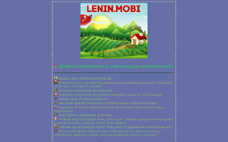 Скриншот сайта promo.lenin.mobi